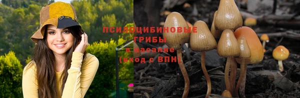 мет Дмитриев
