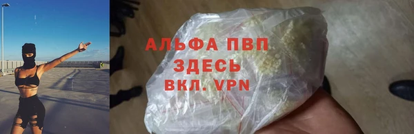 мет Дмитриев