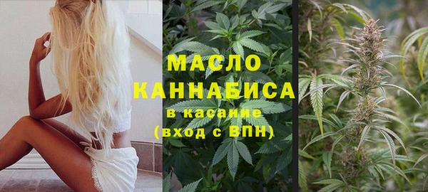 мет Дмитриев