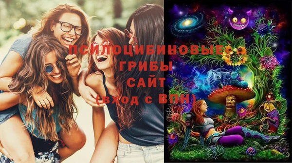 крисы Дмитров