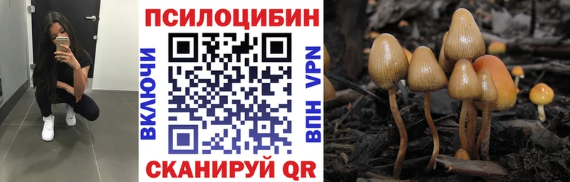 Купить закладки Дорогобуж Галлюциногенные грибы Cubensis