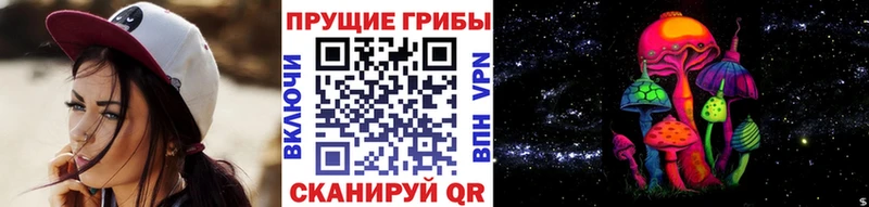 Галлюциногенные грибы Cubensis Дорогобуж